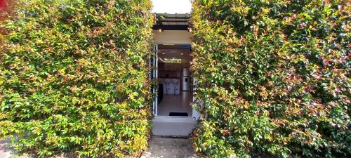 an entrance to a building between two bushes at Hotel y Cabañas Parinzzi in Guatapé