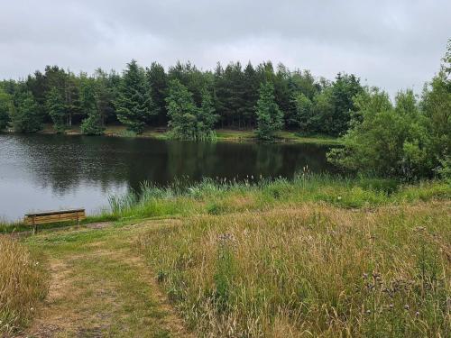 a park bench sitting next to a lake at 6 person holiday home in Ringkøbing in Ringkøbing