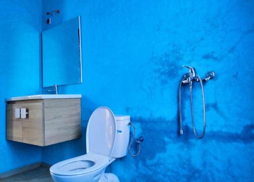 a blue bathroom with a toilet and a shower at Villa Bouzama in Essaouira