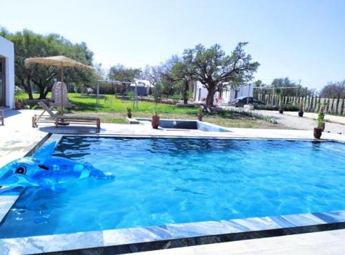 a swimming pool with a toy horse in the water at Villa Bouzama in Essaouira