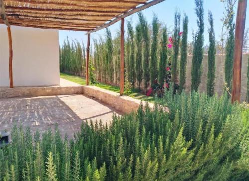 a garden with tall green plants and a building at Villa Bouzama in Essaouira