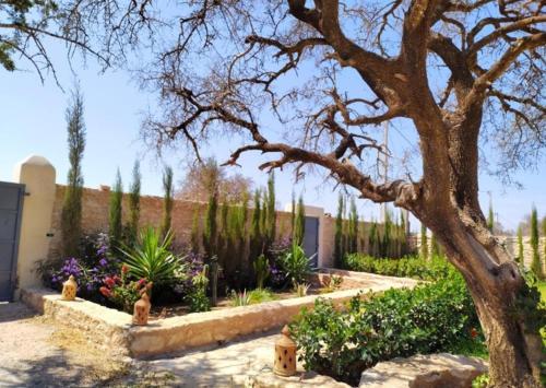 a garden with a fire hydrant next to a tree at Villa Bouzama in Essaouira