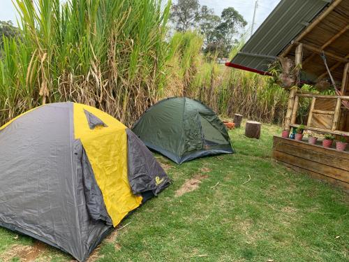 Κήπος έξω από το Camping Dos Buhos