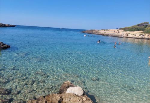 Φυσικό τοπίο κοντά σε αυτό το διαμέρισμα