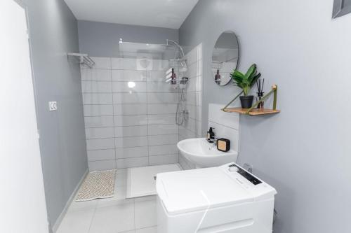 Salle de bains dans l'établissement Le Nid de Thalys - Charming Apartment