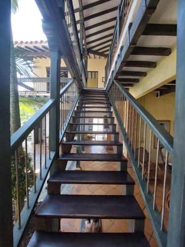 a set of stairs in a building with a dog at Espectacular Casa en Cauca viejo con piscina, jacuzzi y turco in Jericó