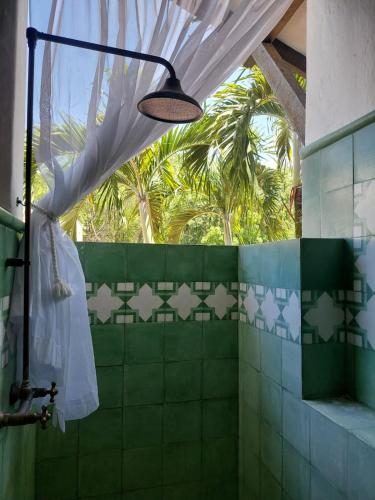a bathroom with a shower with green tiles and a light at Espectacular Casa en Cauca viejo con piscina, jacuzzi y turco in Jericó