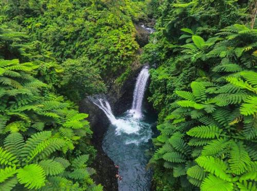 an aerial view of a waterfall in a forest at Emma's Homestay Explorer in Taveuni