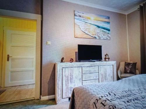 a bedroom with a bed and a television on a dresser at Holiday apartment with dog in Neupetershain
