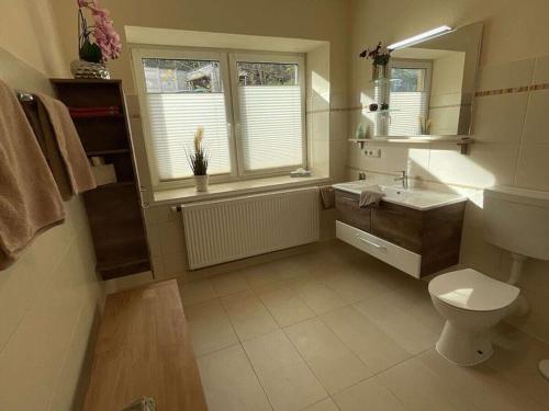 a bathroom with a sink and a toilet and a window at Schwarzatal meadow view in Schwarzburg
