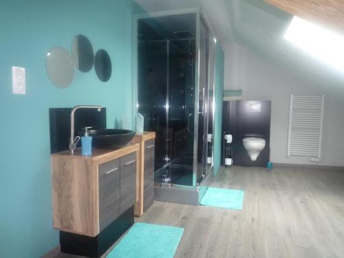 a bathroom with a shower with a sink and a toilet at A la Ferme Bleue in Nayemont-les-Fosses