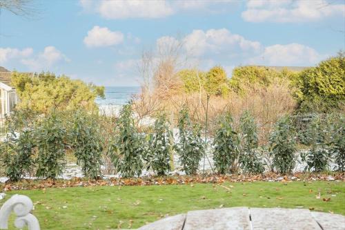 a row of plants with the ocean in the background at 11806-Nykobing-Sj-Klintegarden-1 in Klint