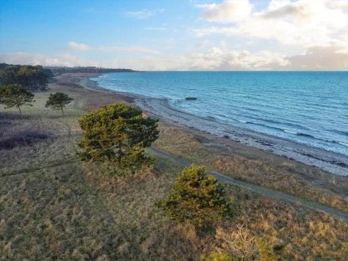 an aerial view of a beach with trees and the ocean at 11806-Nykobing-Sj-Klintegarden-1 in Klint