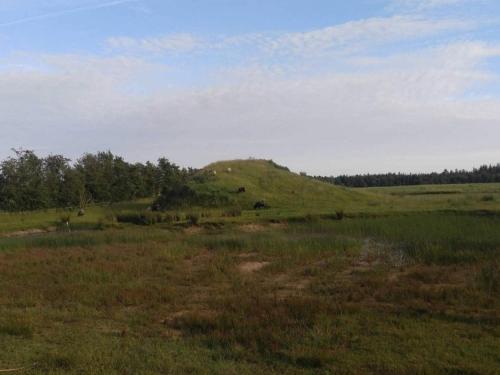 a field of grass with a hill in the background at 4 person holiday home in Ansager-By Traum in Ansager