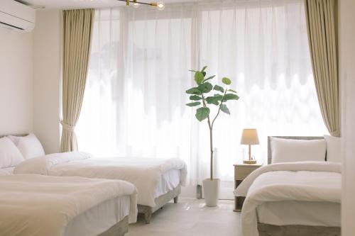 8min walk from Shibuya Sta Universal design