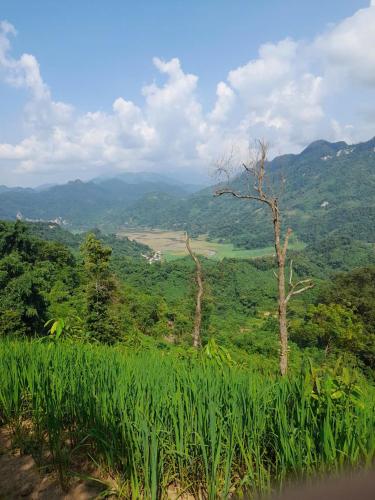 a view of a lush green hill with trees and a river at Khách sạn Vườn Quốc gia Ba Bể in Bak Kan