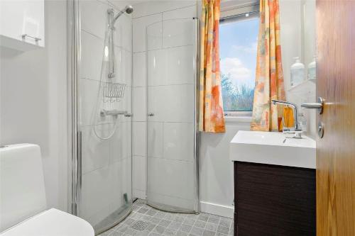 索尔图姆BL128-Saltum-Klaus-Bjergsvej-9的浴室配有淋浴和洗手池