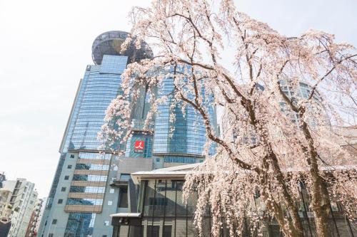 a flowering tree in front of a tall building at Akasaka-no Sato (Female Only) in Tokyo