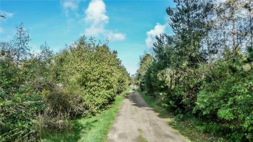 a dirt road with trees on both sides at 11174-Nykobing-Sj-Pilehaekken-6 in Nykøbing Sjælland