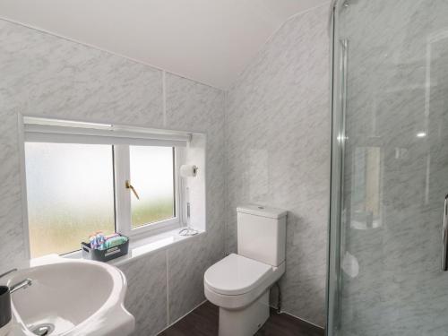 a bathroom with a toilet and a sink and a window at Glandwr House in Llandrindod Wells