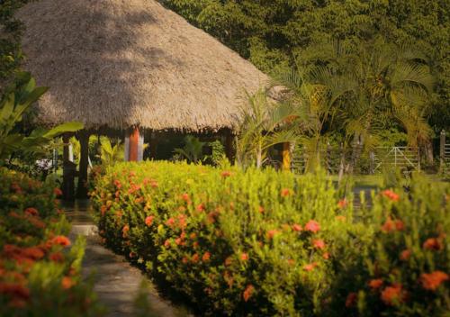 Jardín al aire libre en Jaba Jan Hostal