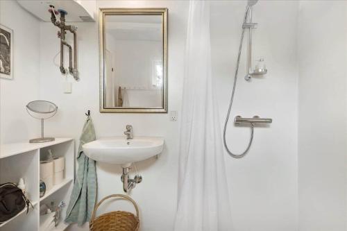 a bathroom with a sink and a shower with a mirror at 11176-Nykobing-Sj-Birkehaekken-13 in Nykøbing Sjælland
