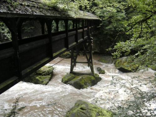 a bridge over a river with rocks in a forest at Tent Lodge near Echternach Nature Park in Echternacherbrück