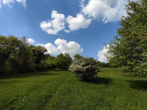 a green field with trees and a sky with clouds at Tent Lodge near Echternach Nature Park in Echternacherbrück