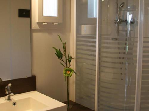 Koupelna v ubytování Chalet 5 pers avec terrasse à Ribes - API-1-52-661