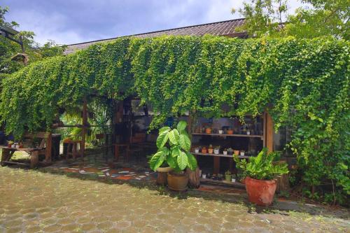 a shop covered in ivy with plants and flowers at Plumeriahome near Chiangmai Airport in Chiang Mai