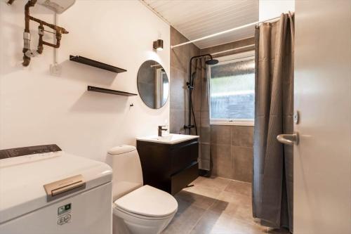 a bathroom with a toilet and a sink and a mirror at 12215-Sjaellands-Odde-Granitager-8 in Tjørneholm