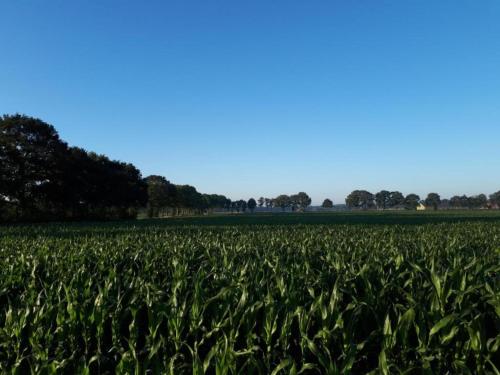 Un paisaje natural cerca de la casa vacacional