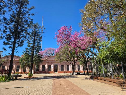 a building with pink flowering trees in front of it at Espacio Utopía in Posadas