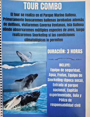 a poster for a tour of the ocean with two seals at Villa Esmeralda in Uvita