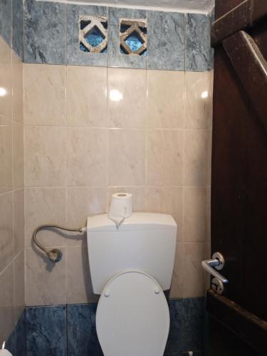 a bathroom with a toilet with a roll of toilet paper on it at MARATHIAS BEACH MISS ASIMENIA One empty pitch for your RV ΜΙΑ ΘΕΣΗ CAMBING RV in Milina