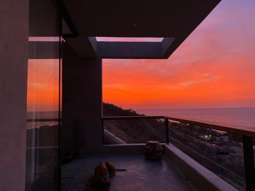 two dogs sitting on a balcony looking out at the ocean at casaNorte paraíso norteño mirador de Ballenas in Canoas De Punta Sal
