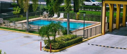 Piscine de l'établissement Budget Inn Of Orlando ou située à proximité