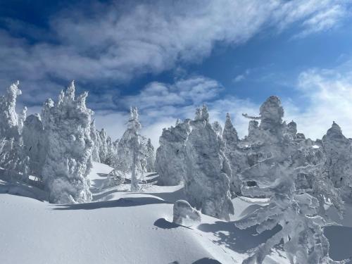 a group of trees covered in snow on a mountain at A private inn where you can relax in nature and enjoy with groups of up to 14 people in Kaminoyama