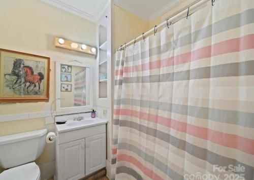 a bathroom with a shower curtain and a toilet at Mountain Cottage on 7 Acres in Tryon
