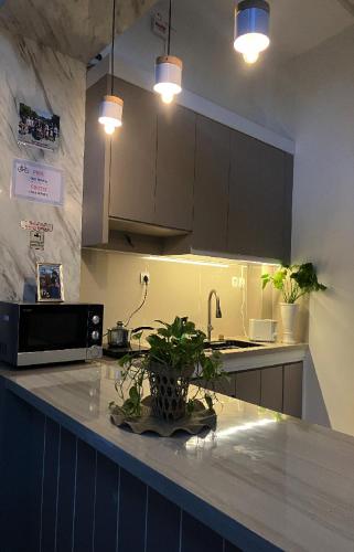 a kitchen with a counter with a plant on it at D'illy Borobudur Villa in Magelang