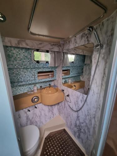 ein kleines Badezimmer mit Toilette und Waschbecken in der Unterkunft Gezellig overnachten luxe boot in De Punt