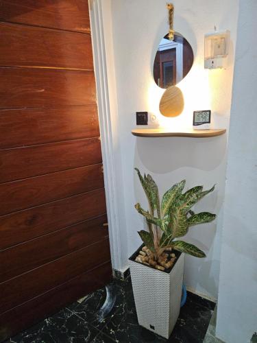 a plant in a white pot next to a door at Home RÉSIDENCE OUIDAH in Ouidah