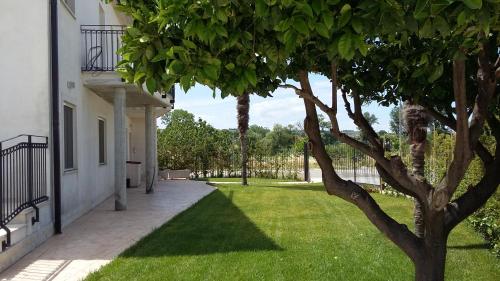 Gallery image of Casa Vacanze Le Due Palme in Miglianico