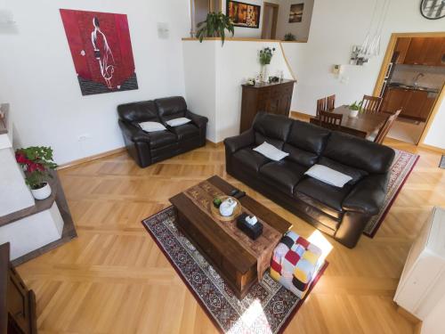 Seaside Villa in Zadar with swimming pool