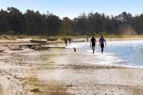 a group of people walking on a beach with a dog at 8245-Knebel-Metholmvej-9 in Knebel