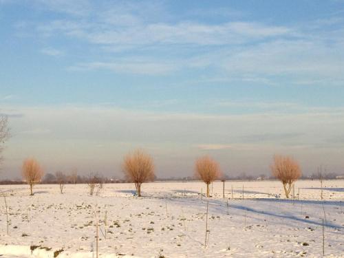 a snowy field with trees in the snow at Pet-Friendly Nature Escape in Pontecchio Polesine