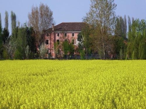 a field of rapeseed with a house in the background at Pet-Friendly Nature Escape in Pontecchio Polesine