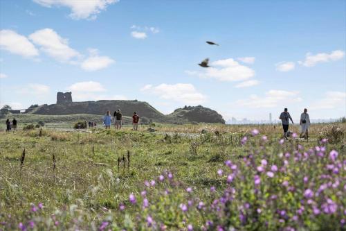 people walking in a field with a castle in the background at 8105-Ronde-Havesvinget-10 in Rønde