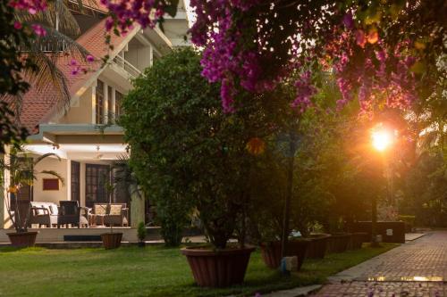 a house with a tree with purple flowers in the yard at Nirvana Luxurious Pool Garden Villa in Vasai in Vasai
