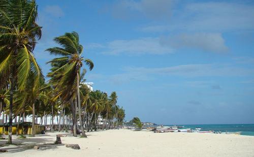 a sandy beach with palm trees and the ocean at Apartamento En San Andres in San Andrés